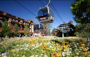 Heavenly Tahoe Condo Rental - Local Attractions